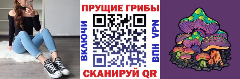 Псилоцибиновые грибы мицелий  Горно-Алтайск 